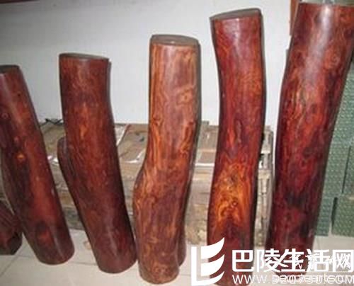 酸枝木种类及特点 酸枝木种类及特点