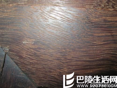 铁刀木与铁力木是否有联系 铁刀木与铁力木是否有联系