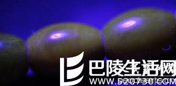 鉴别老蜜蜡手链真假图片分析（独家）