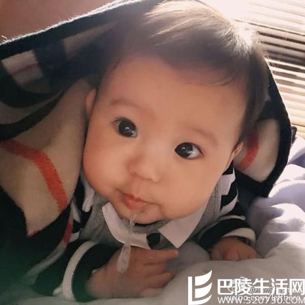 贾静雯女儿吐口水 贾静雯女儿抚养权案真相 贾静雯女儿吐口水 贾静雯女儿抚养权案真相