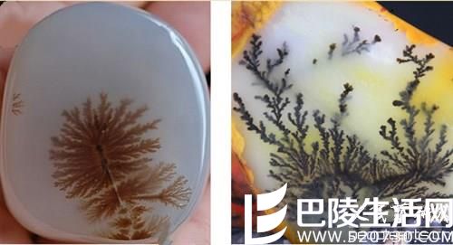 黄龙玉与玛瑙的区别有哪些? 黄龙玉与玛瑙的区别有哪些?