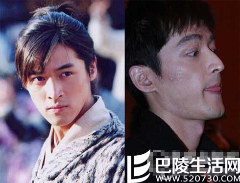 胡歌霍建华同框秀恩爱 胡歌车祸原因及前后照片对比