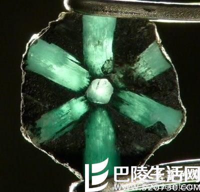 达碧兹祖母绿是祖母绿吗?什么是达碧兹祖母绿? 达碧兹祖母绿是祖母绿吗?什么是达碧兹祖母绿?