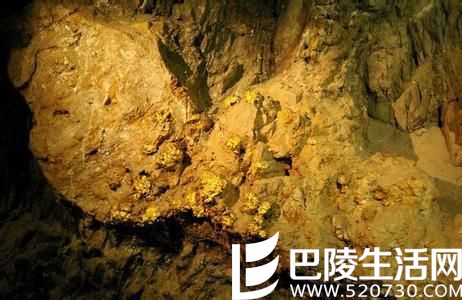 山东又发现大金矿 海底为何频现金矿