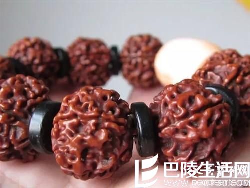 金刚菩提一生会缩水几次 金刚菩提一生会缩水几次