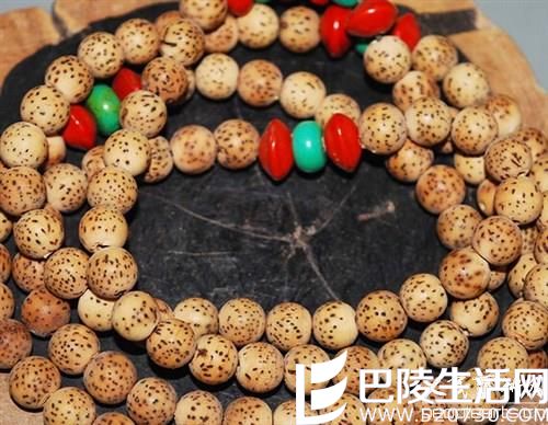 如何防止星月菩提子盘花 如何防止星月菩提子盘花