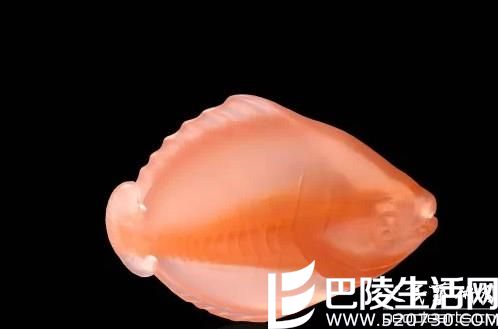 精美的极品冰飘南红玛瑙雕件赏析