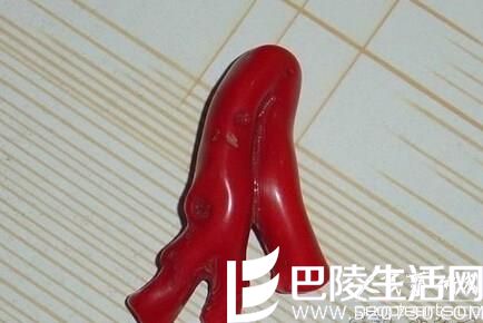 三看鉴别红珊瑚