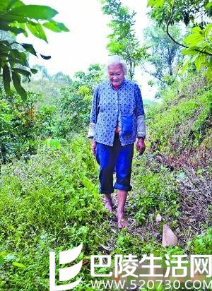 年近八旬老妇不穿鞋 怕人笑话做样子提鞋子赶集 年近八旬老妇不穿鞋 怕人笑话做样子提鞋子赶集