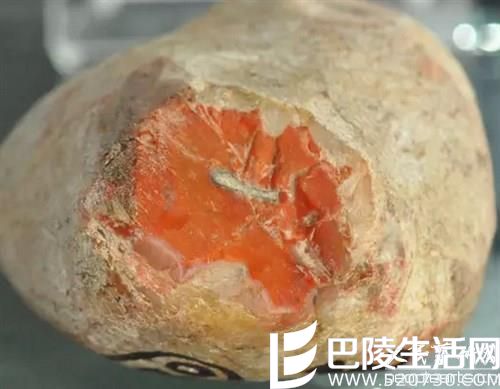 史上最全的南红玛瑙原石图片盘点