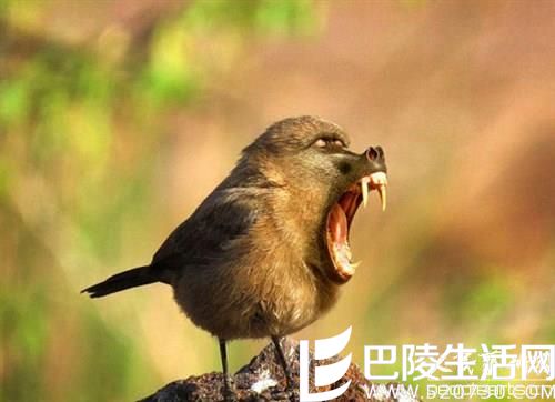 美艺术家的“噩梦动物园” 胆小勿入