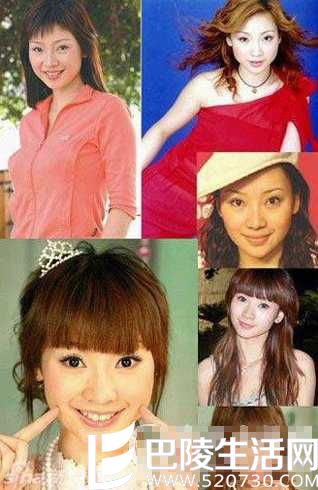 柳岩透视裙秀性感 柳岩整容前后对比照曝光