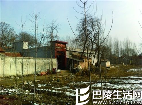 济南女子捅死婆婆后服药自杀 曾敲门告诉邻居自己杀人了 济南女子捅死婆婆后服药自杀 曾敲门告诉邻居自己杀人了