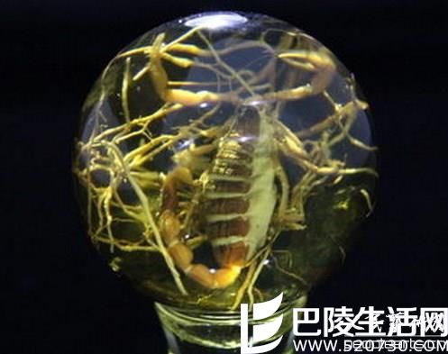 从细节上辨别虫珀真伪 从细节上辨别虫珀真伪