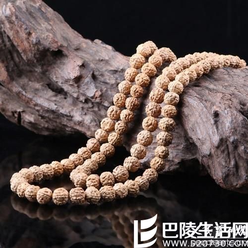 世界上金刚菩提子的产地有哪些