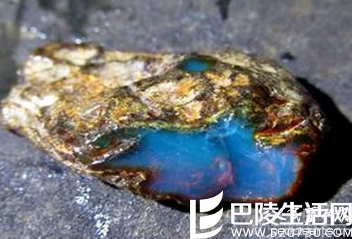 造物主的神来之笔:蓝珀特性及蓝珀图片欣赏 造物主的神来之笔:蓝珀特性及蓝珀图片欣赏