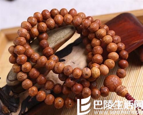 世界上凤眼菩提的产地有哪些