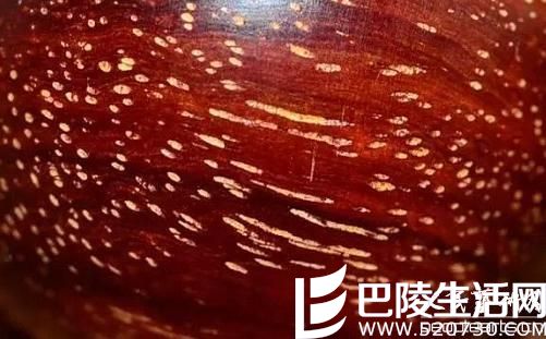 爆金星小叶紫檀的真假图片对比 小叶紫檀有什么功效? 爆金星小叶紫檀的真假图片对比 小叶紫檀有什么功效?