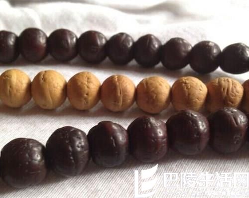 紫红皮凤眼菩提和黄皮凤眼菩提哪个好 紫红皮凤眼菩提和黄皮凤眼菩提哪个好