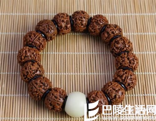 不同瓣数的金刚菩提子的寓意 不同瓣数的金刚菩提子的寓意