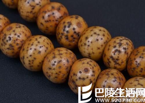 几张开片老星月菩提图片 几张开片老星月菩提图片