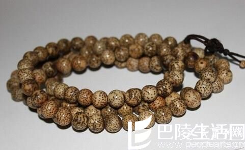 包浆后的星月菩提子图片