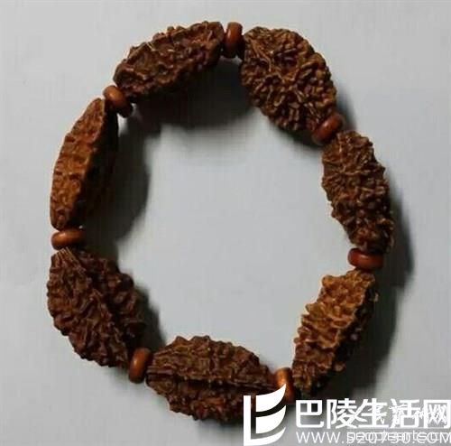 看完这几张图片轻松辨别金刚菩提子真假 看完这几张图片轻松辨别金刚菩提子真假