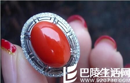 红珊瑚的产地介绍