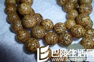 包浆后的星月菩提子图片