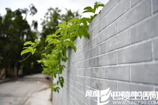 光圈:F3.2 快门:1/1000 sec ISO:100