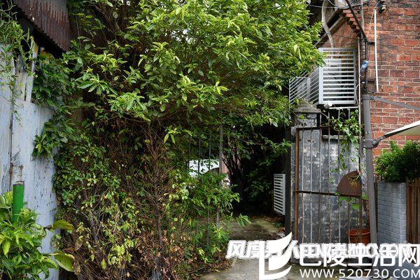 光圈:F3.2 快门:1/320 sec ISO:100