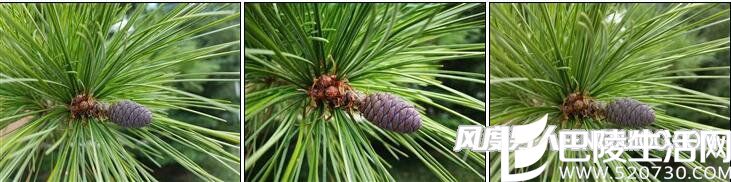 S7 edge/华为P9/一加3