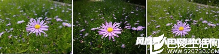 S7 edge/华为P9/一加3