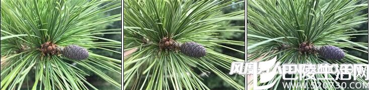 iPhone 6s Plus 、7、7 Plus