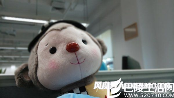 红米Pro大光圈样张，虽然虚化明显，但轮廓识别粗糙，看起来不够自然