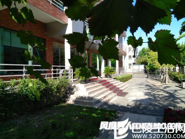 室外强光下拍摄，二者表现都还算不错