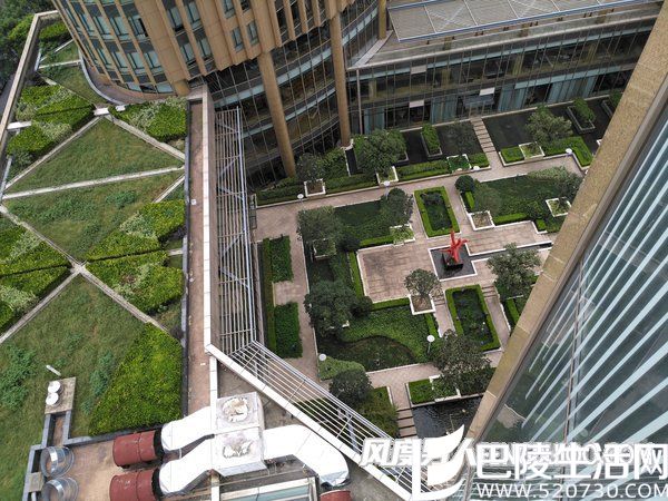 锤子M1手机拍照样张