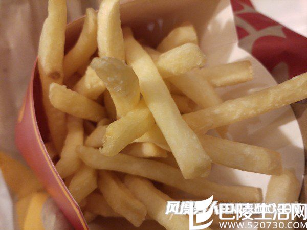 锤子M1手机拍照样张