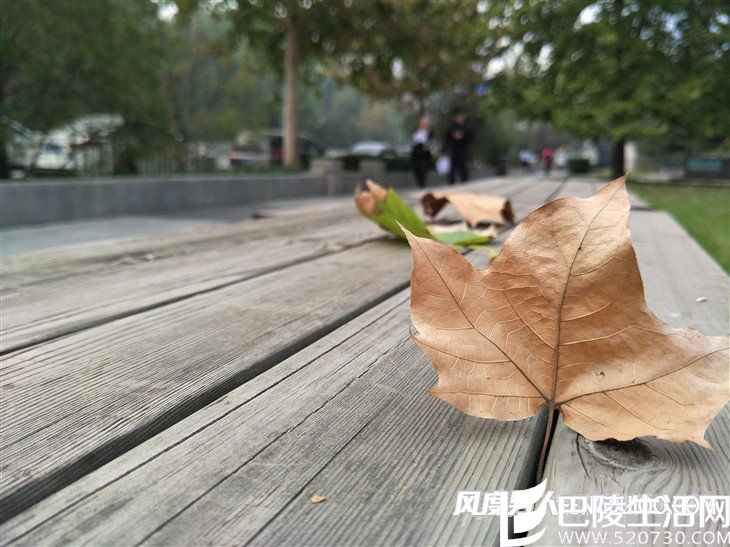 OPPO R9S拍照样张