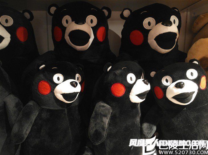 锤子Smartisan M1拍照样张