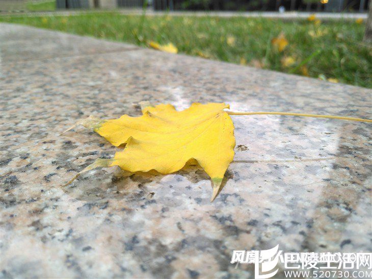 锤子Smartisan M1拍照样张