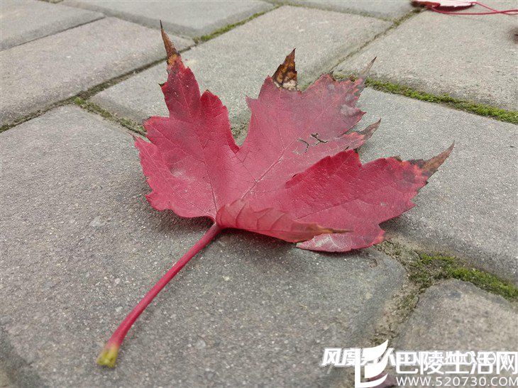 华为畅想6拍照样张