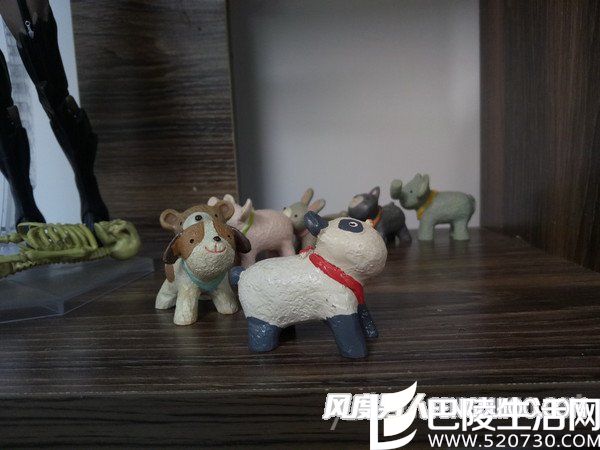 随手拍样张 随手拍样张