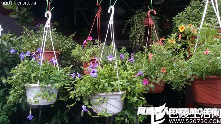 5.5英寸八核IP68级 AGM X1三防手机评测 