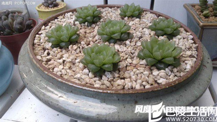 5.5英寸八核IP68级 AGM X1三防手机评测 