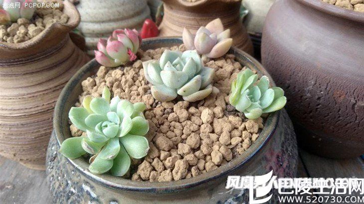 5.5英寸八核IP68级 AGM X1三防手机评测 