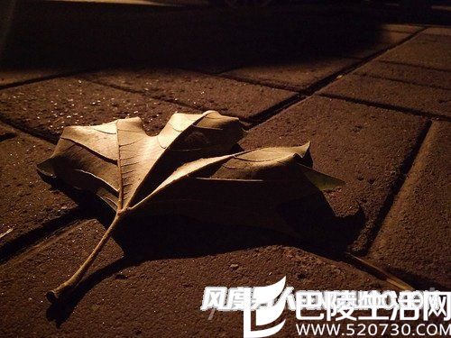 拍摄样片 拍摄样片