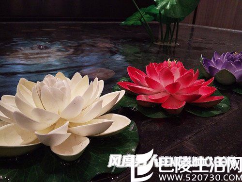 拍摄样片 拍摄样片