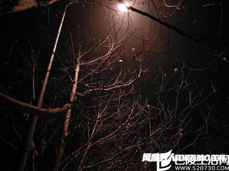 魅族PRO6 Plus拍照样张