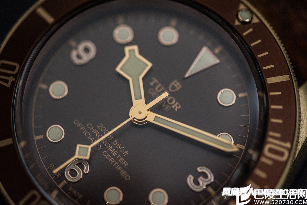 帝舵启承碧湾古铜 帝舵启承碧湾古铜